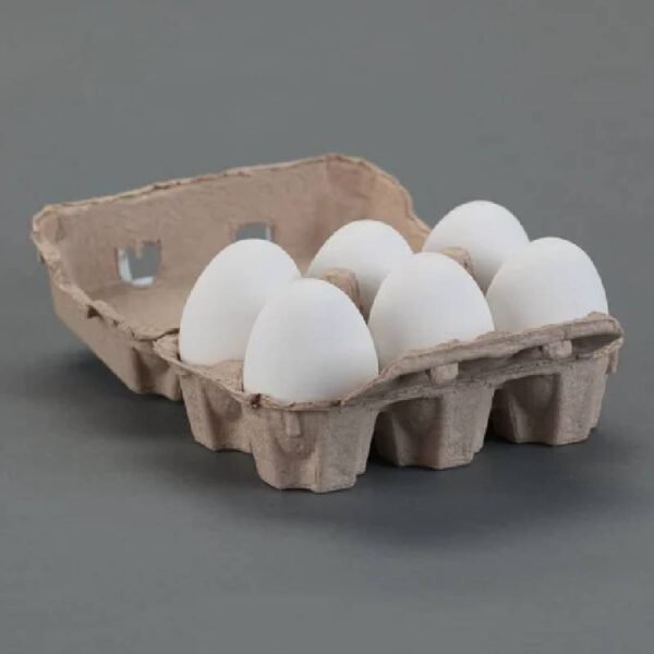 Eggs Pack of 6
