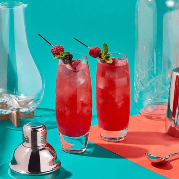 Wild Berry Fizz